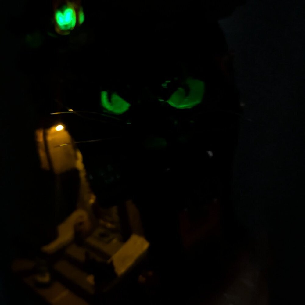 NWT Lemax Meow Mansion Retired Spooky Town Building LED Black Cat Halloween HTF - Picture 10 of 16